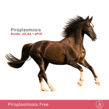 Load image into Gallery viewer, Equine Piroplasmosis Bundle: cELISA &amp; qPCR