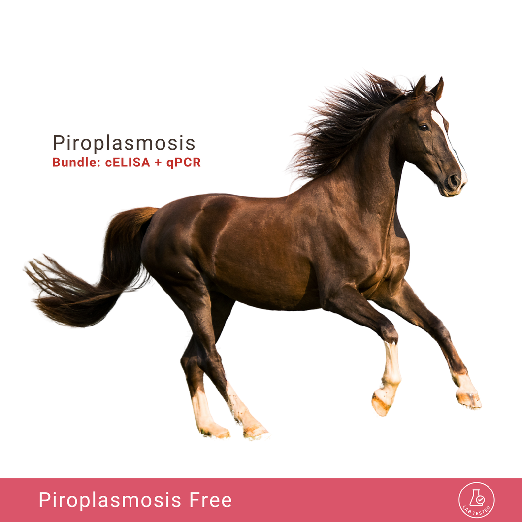 Equine Piroplasmosis Bundle: cELISA & qPCR