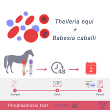 Load image into Gallery viewer, Equine Piroplasmosis Bundle: cELISA &amp; qPCR
