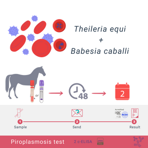 Equine Piroplasmosis Bundle: cELISA & qPCR