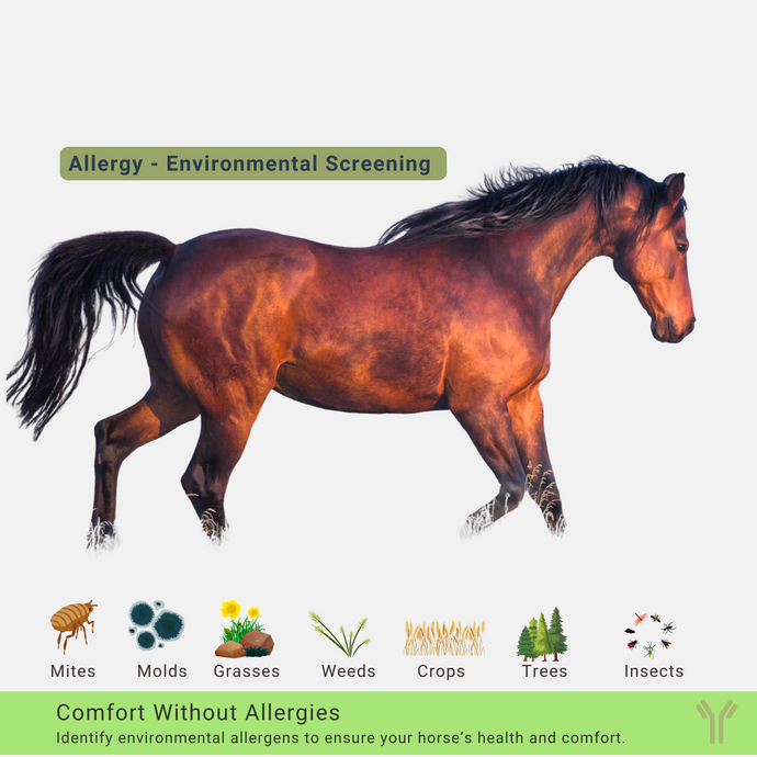 Comprehensive Allergy Panel