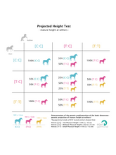 Load image into Gallery viewer, Projected Height test - LCORL/NCAPG - Equigerminal